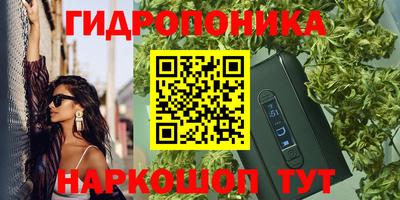 2c-b Рузаевка