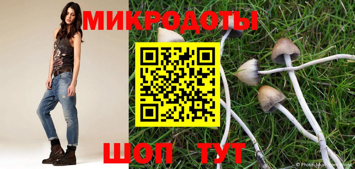 Петрозаводск  Галлюциногенные грибы Psilocybe  магазин    Псилоцибиновые грибы Cubensis  Вход с VPN 