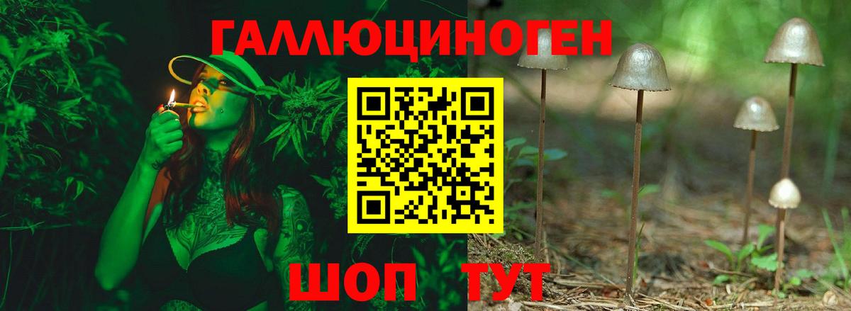 Галлюциногенные грибы мицелий Петрозаводск