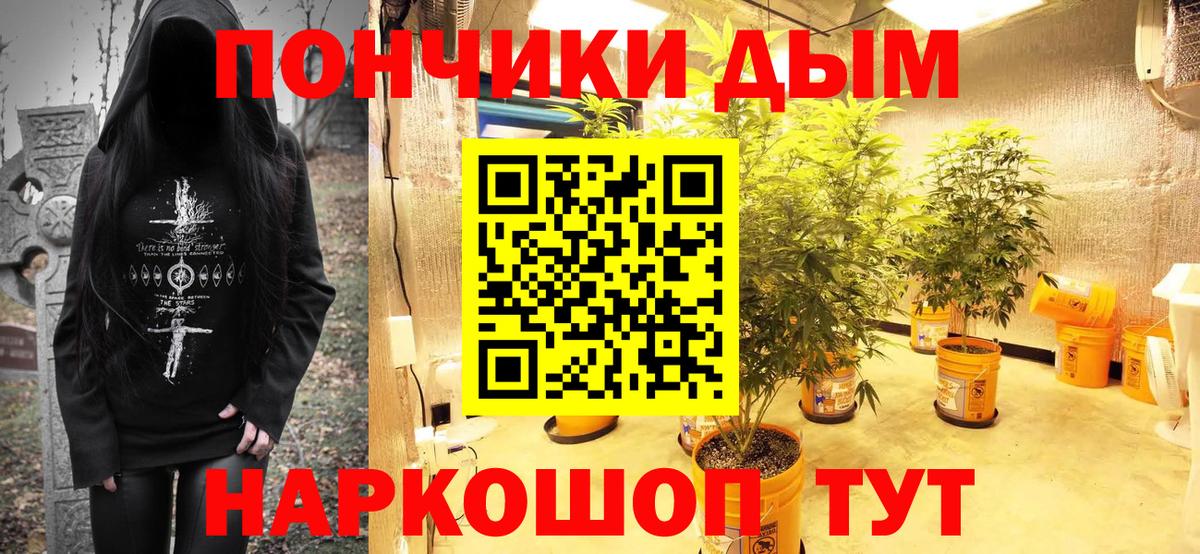 Бошки марихуана VHQ  Конопля план  Вход с VPN  Петрозаводск 
